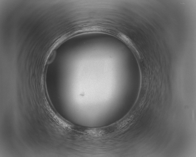 X0000052560805200507081634