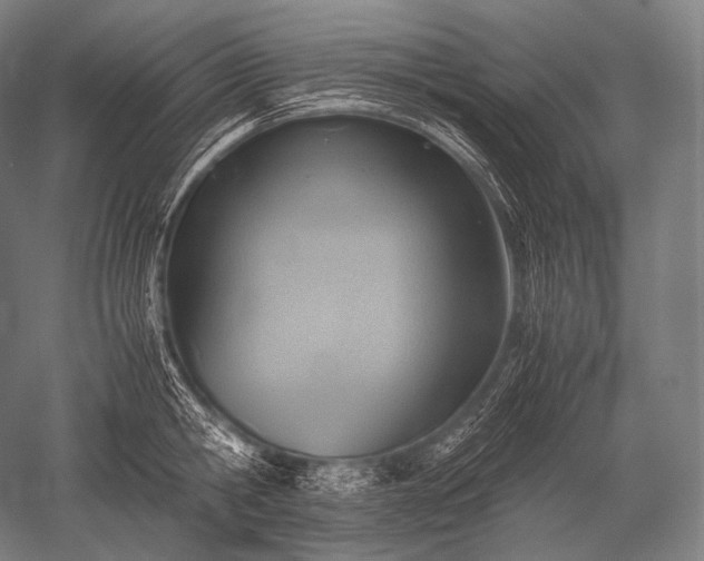 X0000052560806200507081634