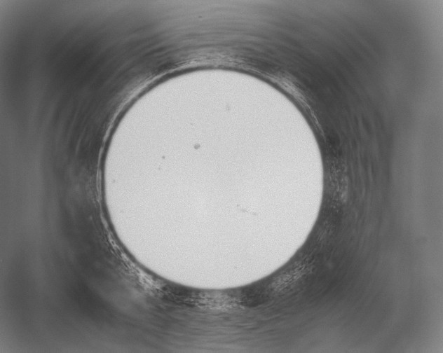 X0000052560807200507081634