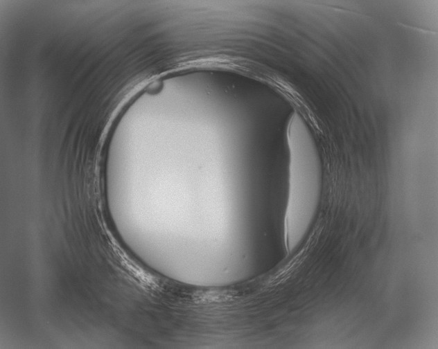 X0000052560808200507081634