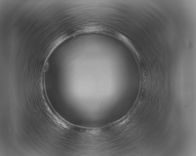 X0000052560810200507081634