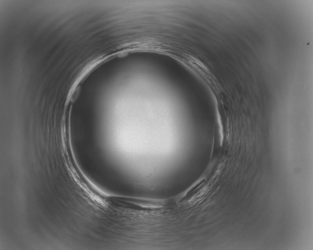 X0000052560812200507081634