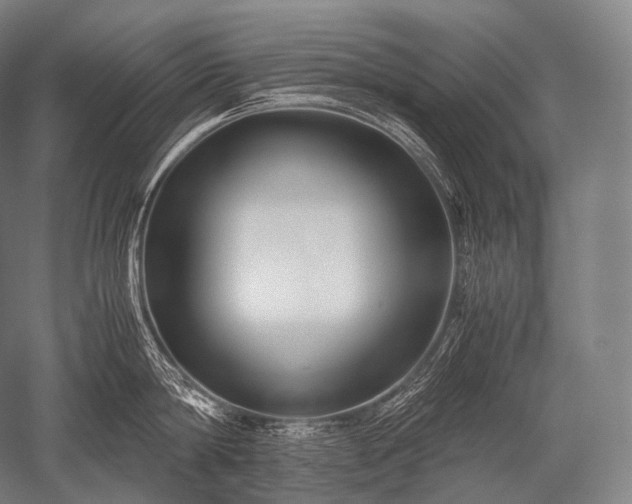 X0000052560814200507081634