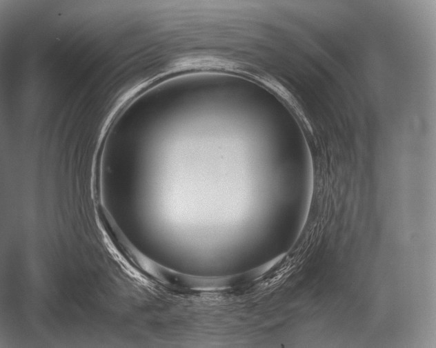 X0000052560815200507081634