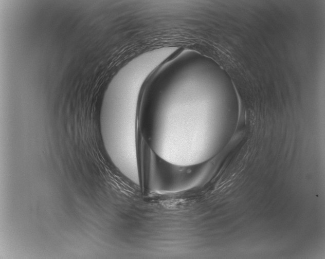 X0000052560818200507081633