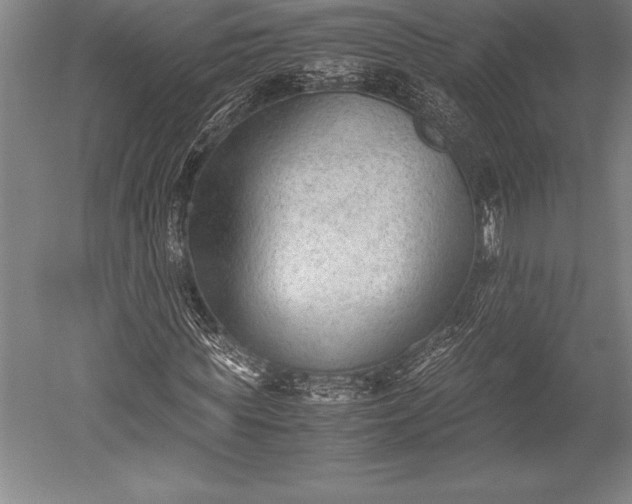 X0000052560819200507081633