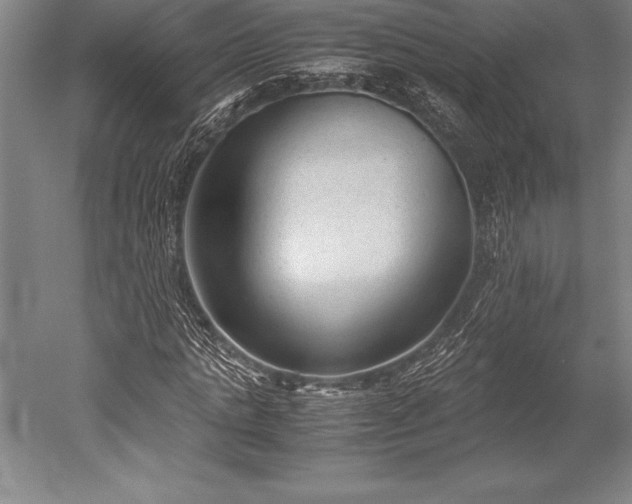X0000052560821200507081633