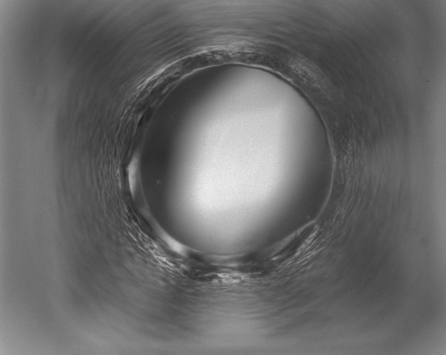 X0000052560822200507081633