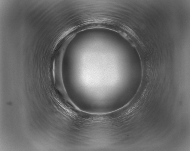 X0000052560826200507081633