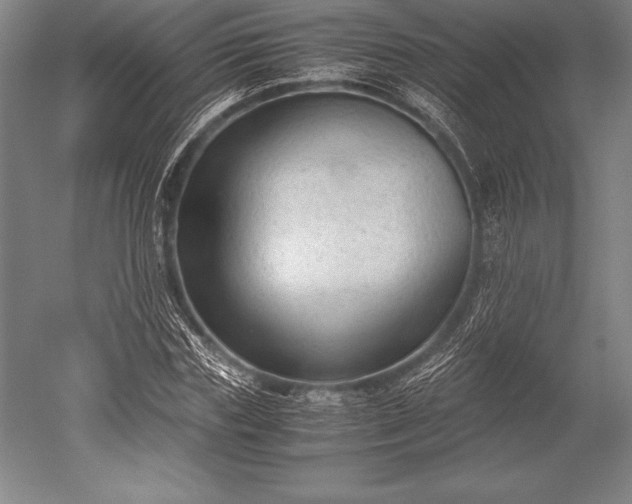 X0000052560827200507081633