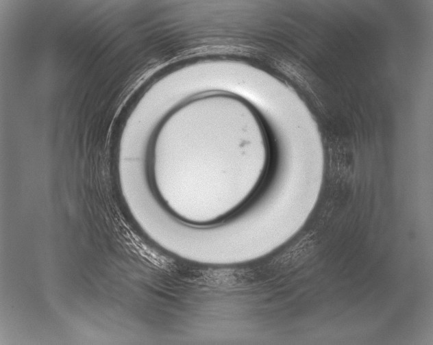 X0000052560828200507081633