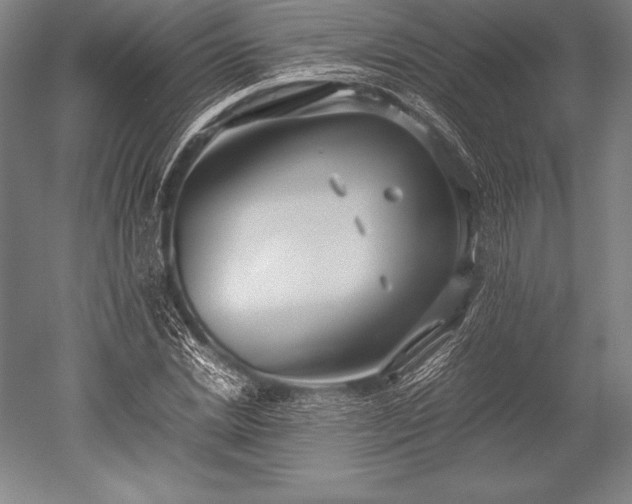 X0000052560830200507081633