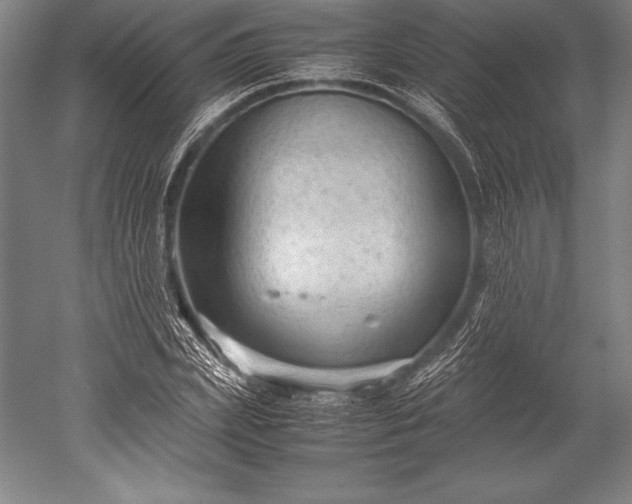 X0000052560831200507081633