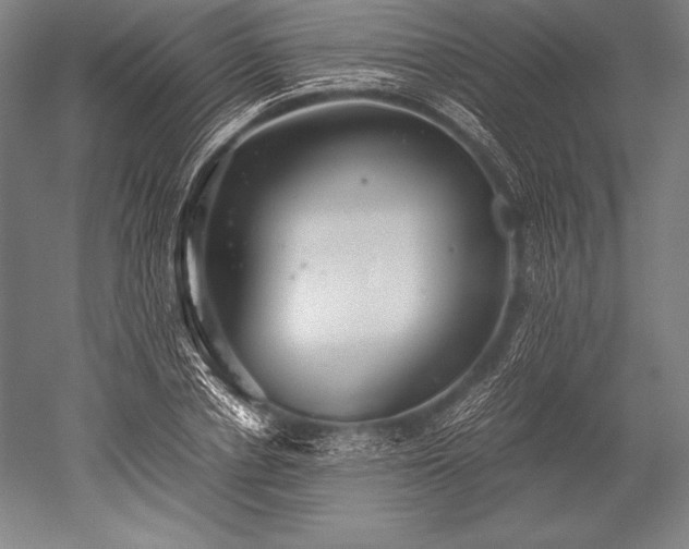 X0000052560834200507081633