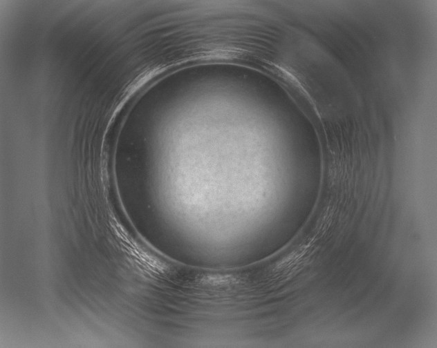 X0000052560835200507081633