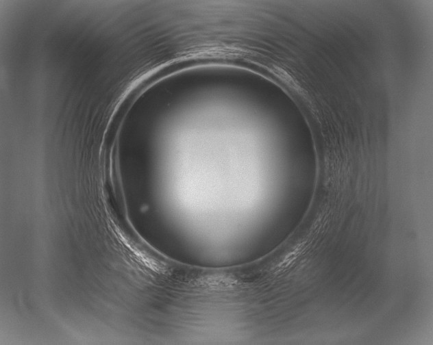 X0000052560838200507081633
