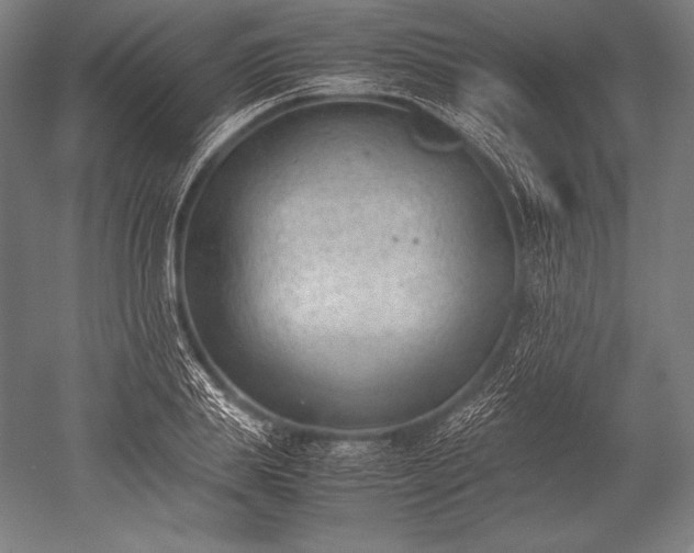 X0000052560839200507081633