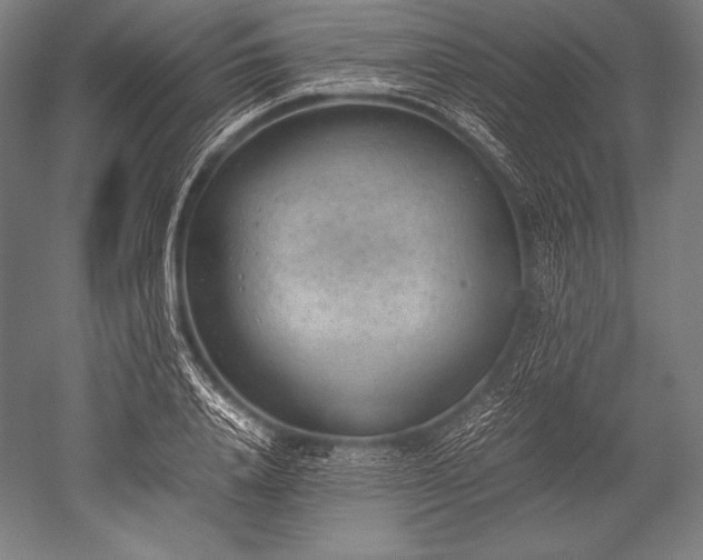 X0000052560840200507081633