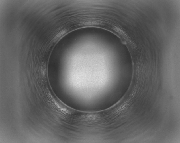 X0000052560841200507081633