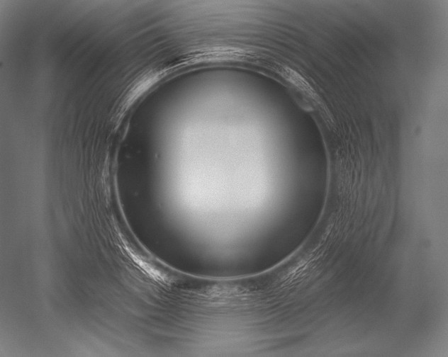 X0000052560842200507081633