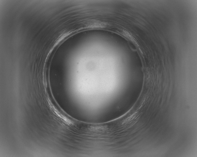 X0000052560843200507081633