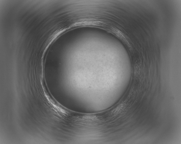 X0000052560844200507081633