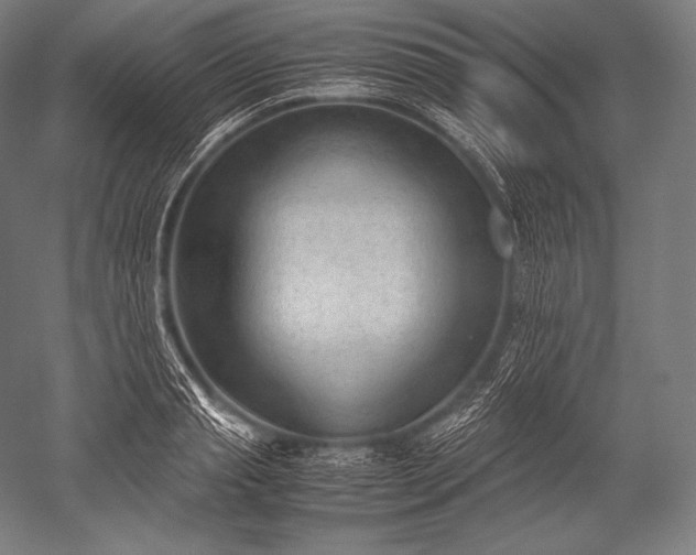 X0000052560845200507081633