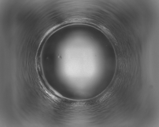 X0000052560846200507081633