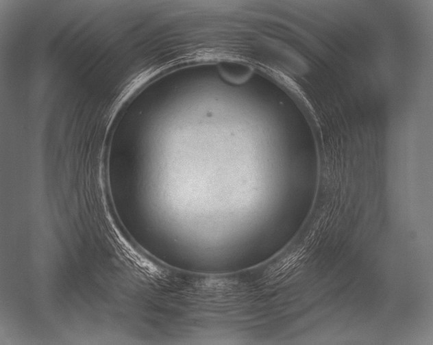 X0000052560847200507081633