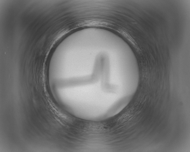 X0000052560848200507081633