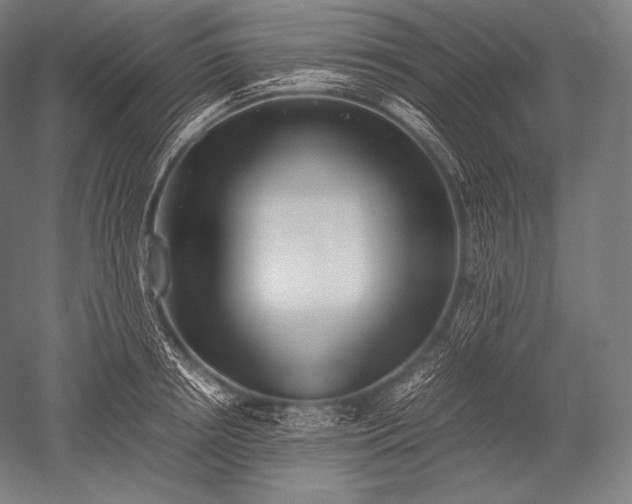 X0000052560850200507081634