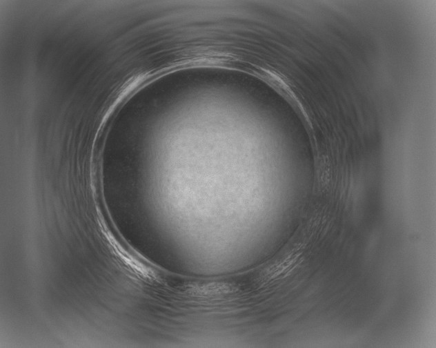 X0000052560851200507081634