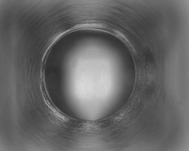 X0000052560852200507081634
