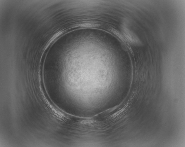 X0000052560853200507081634