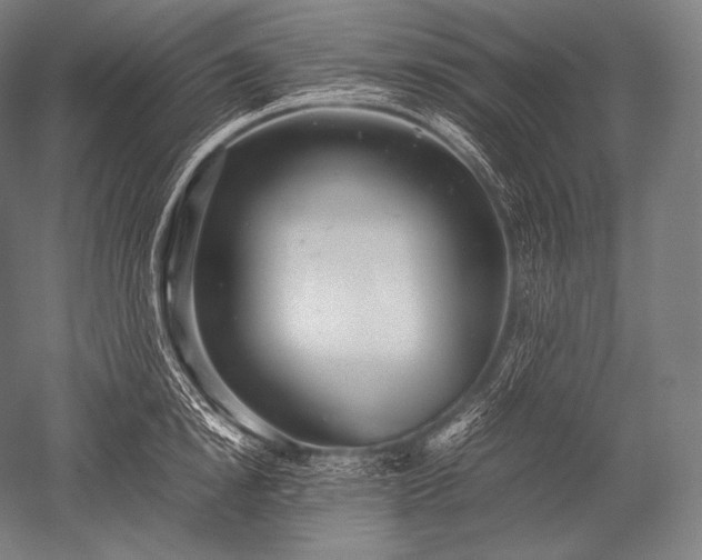X0000052560854200507081634