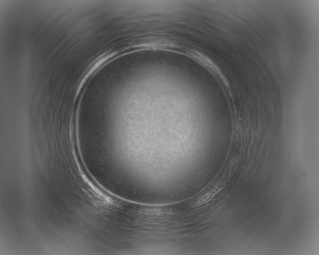 X0000052560855200507081634