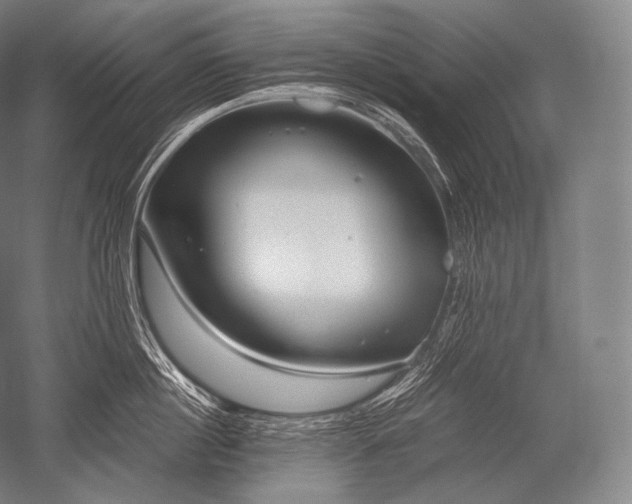 X0000052560860200507081634
