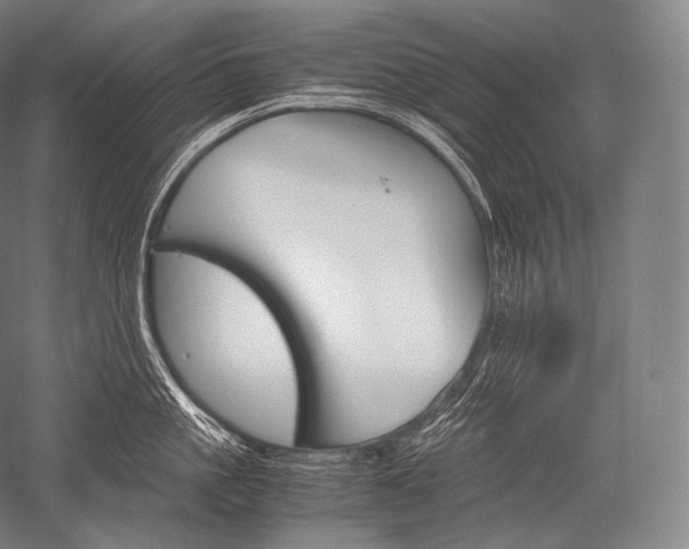 X0000052560861200507081634