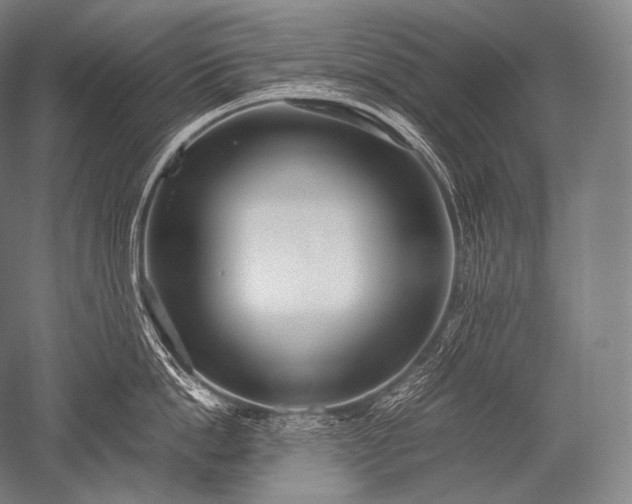 X0000052560862200507081634