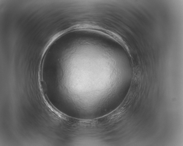 X0000052560863200507081634