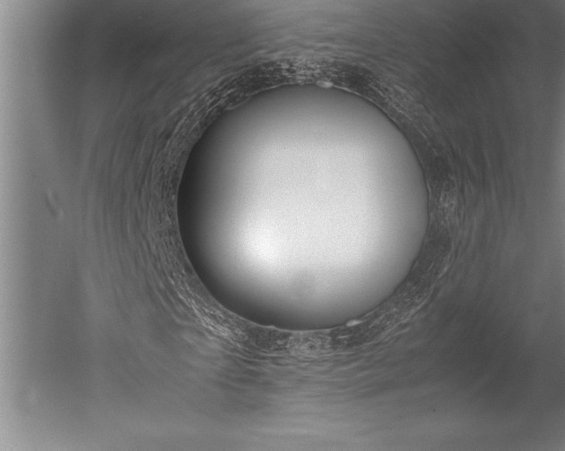 X0000052560865200507081633