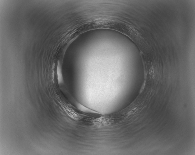 X0000052560868200507081633