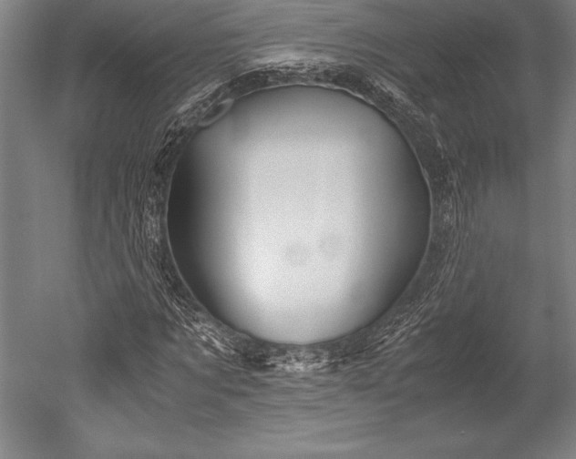 X0000052560869200507081633