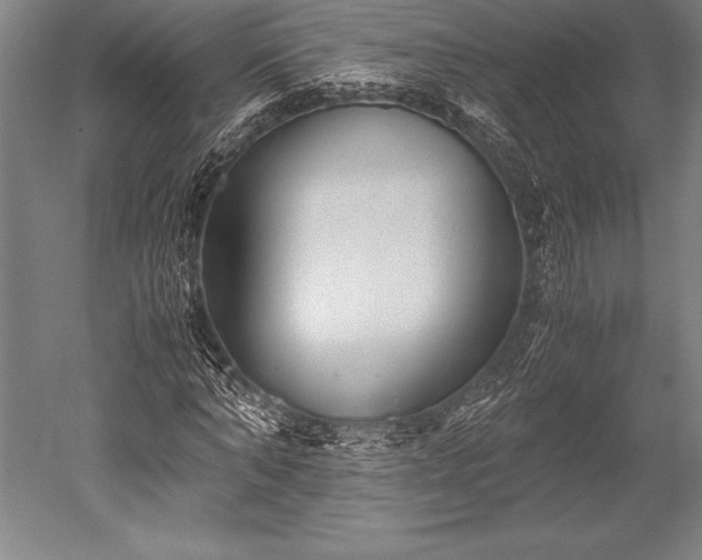 X0000052560870200507081633