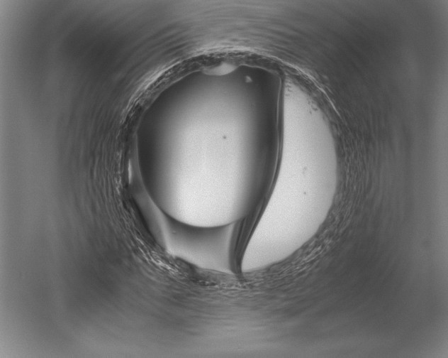 X0000052560871200507081633