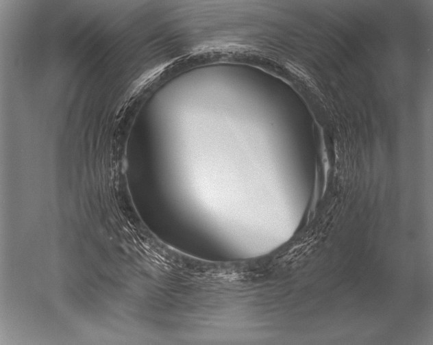 X0000052560872200507081633