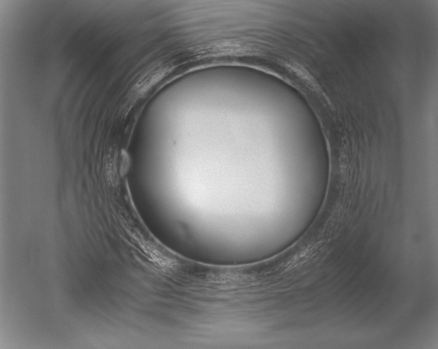 X0000052560873200507081633