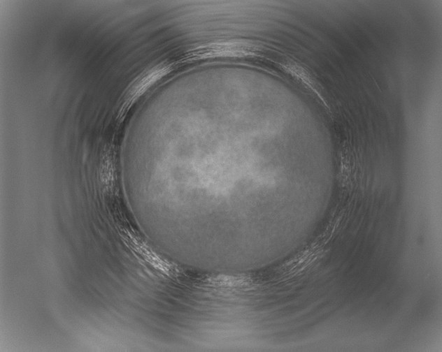 X0000052560874200507081633