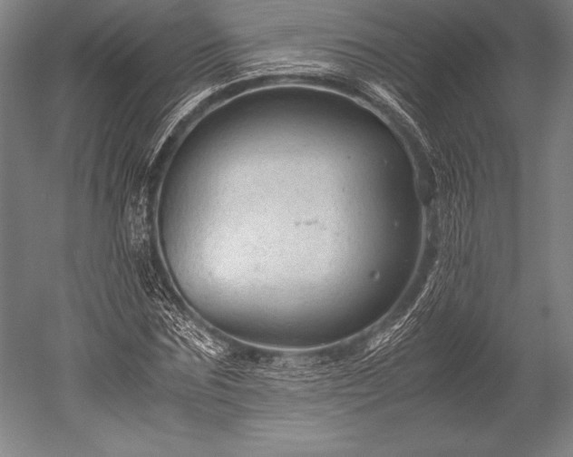 X0000052560875200507081633