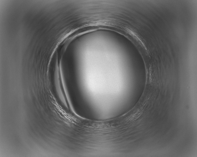 X0000052560876200507081633